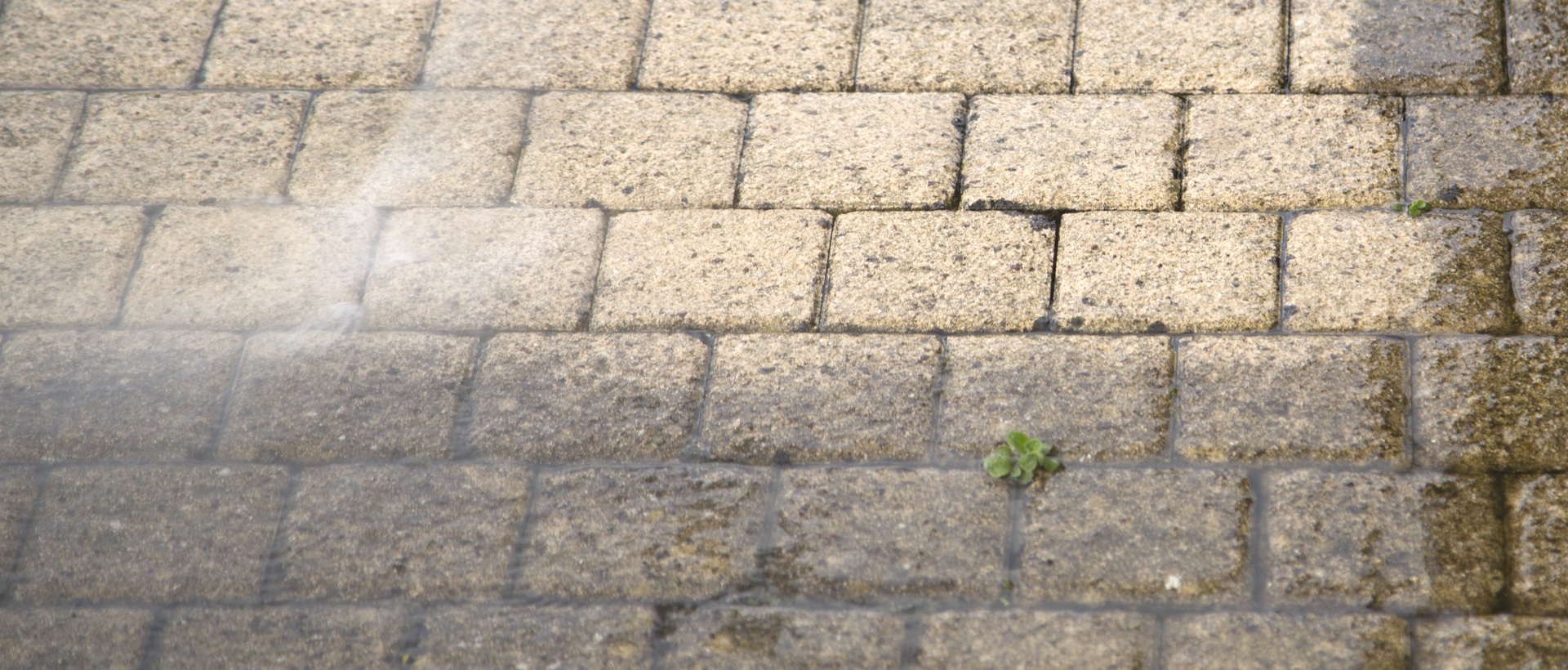 flagging and patios DA12